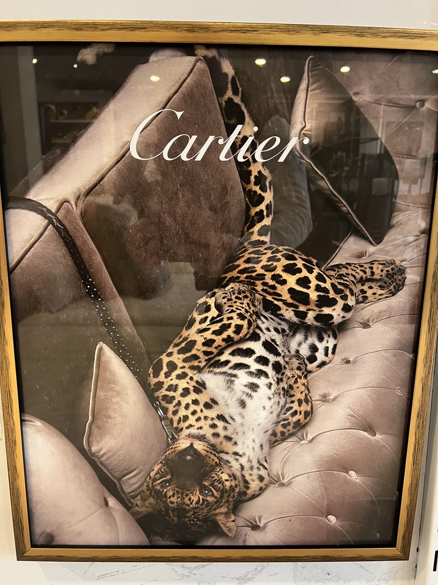 Luipaard Foto op Bank – Wanddecoratie met Gouden Lijst | 52x42 cm