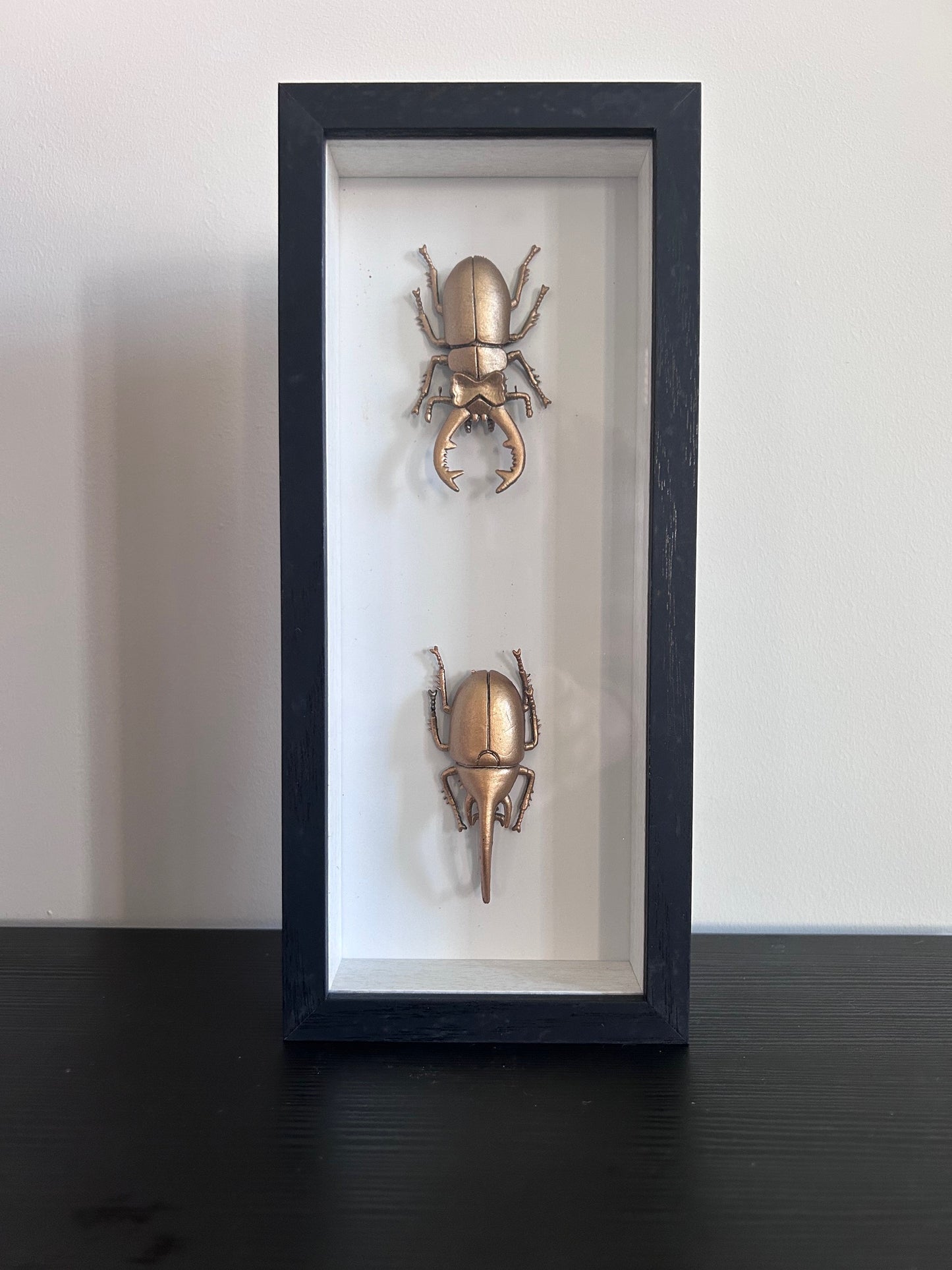 mooie rechthoekige zwarte lijst met 2 gouden insecten