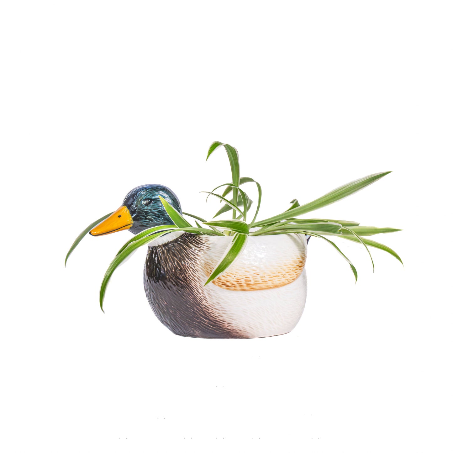 Duck Flower Pot – Ceramic – Animal Home Decor – 16 cm