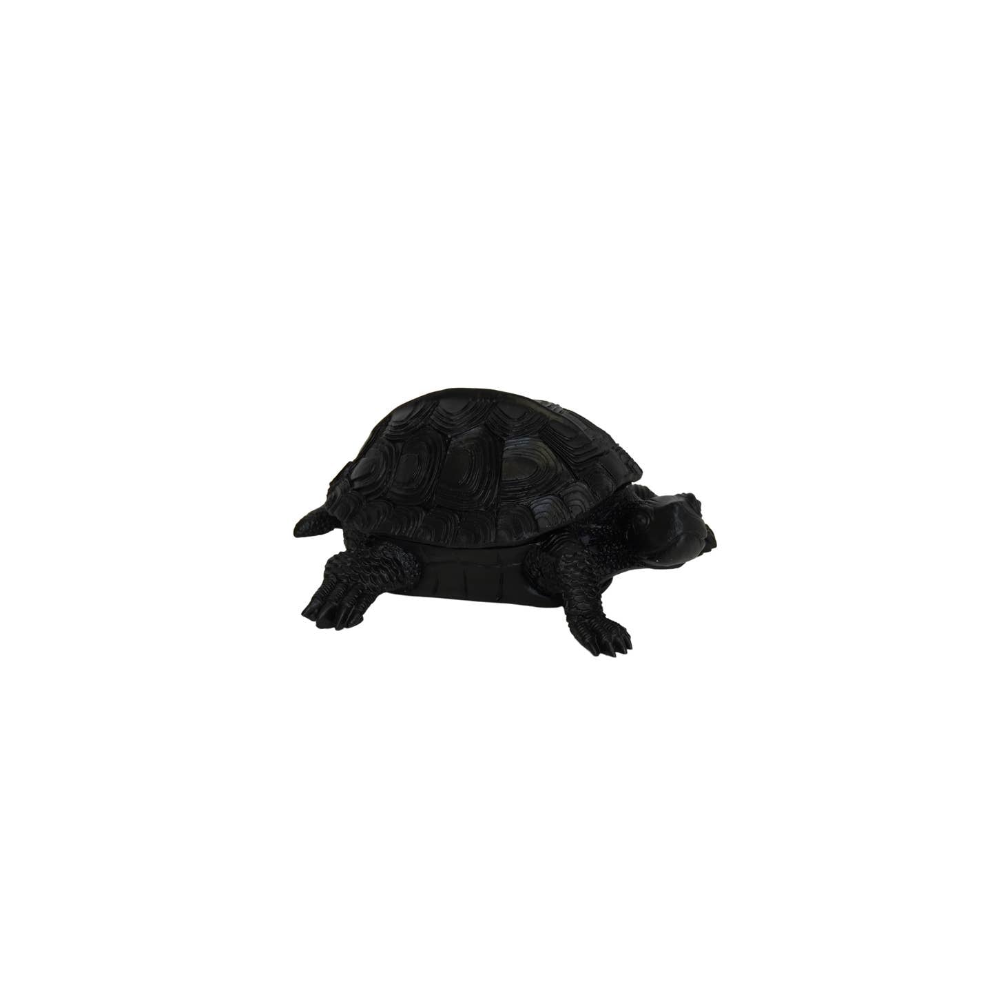 Schwarze Schildkröten-Schmuckschatulle – Stilvolle Aufbewahrung