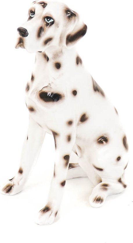 Dalmatiër Beeld – Zwart-Witte Decoratie