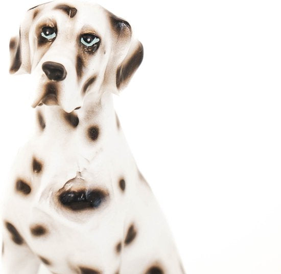 Dalmatiër Beeld – Zwart-Witte Decoratie