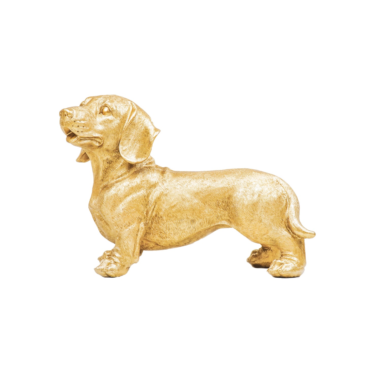 Gouden Teckel Beeld – 31 × 14 × 23 cm – Speels & Luxe