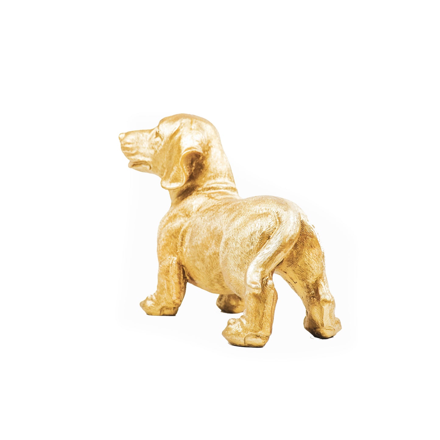 Gouden Teckel Beeld – 31 × 14 × 23 cm – Speels & Luxe