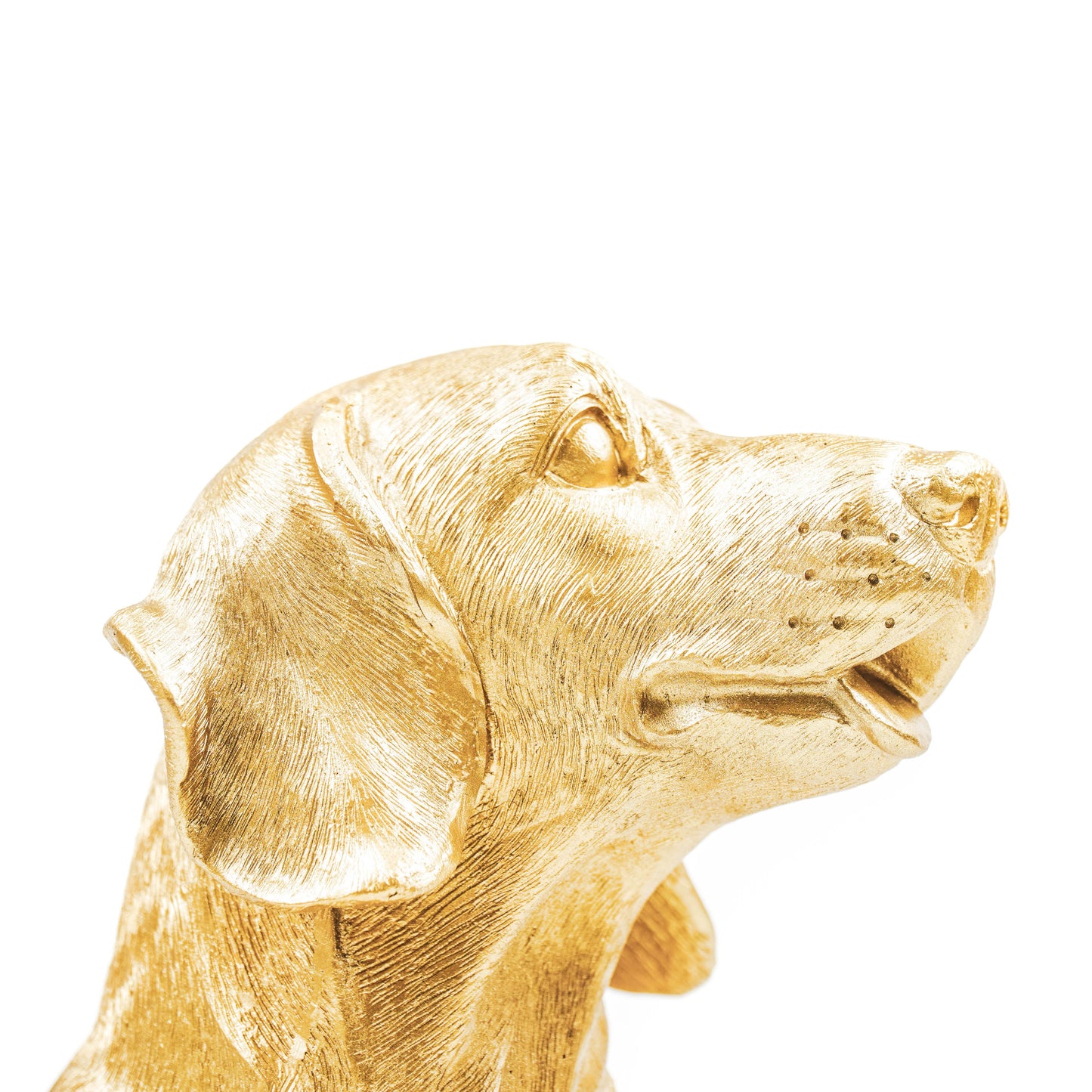 Gouden Teckel Beeld – 31 × 14 × 23 cm – Speels & Luxe