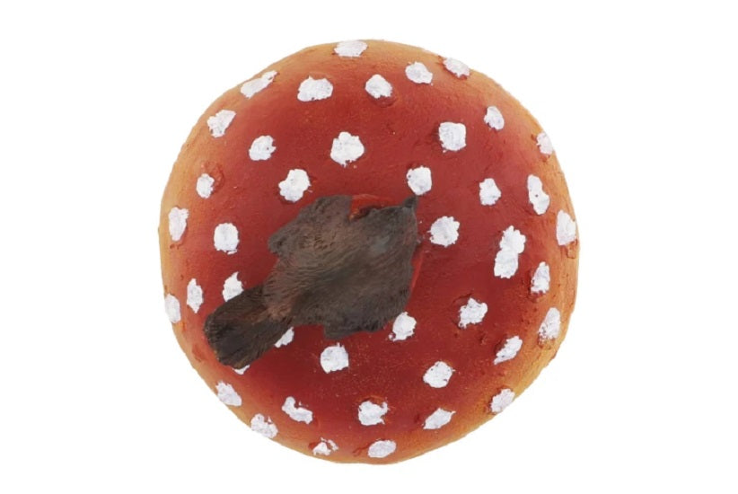 Bild Pilz mit Rotkehlchen – 16 cm