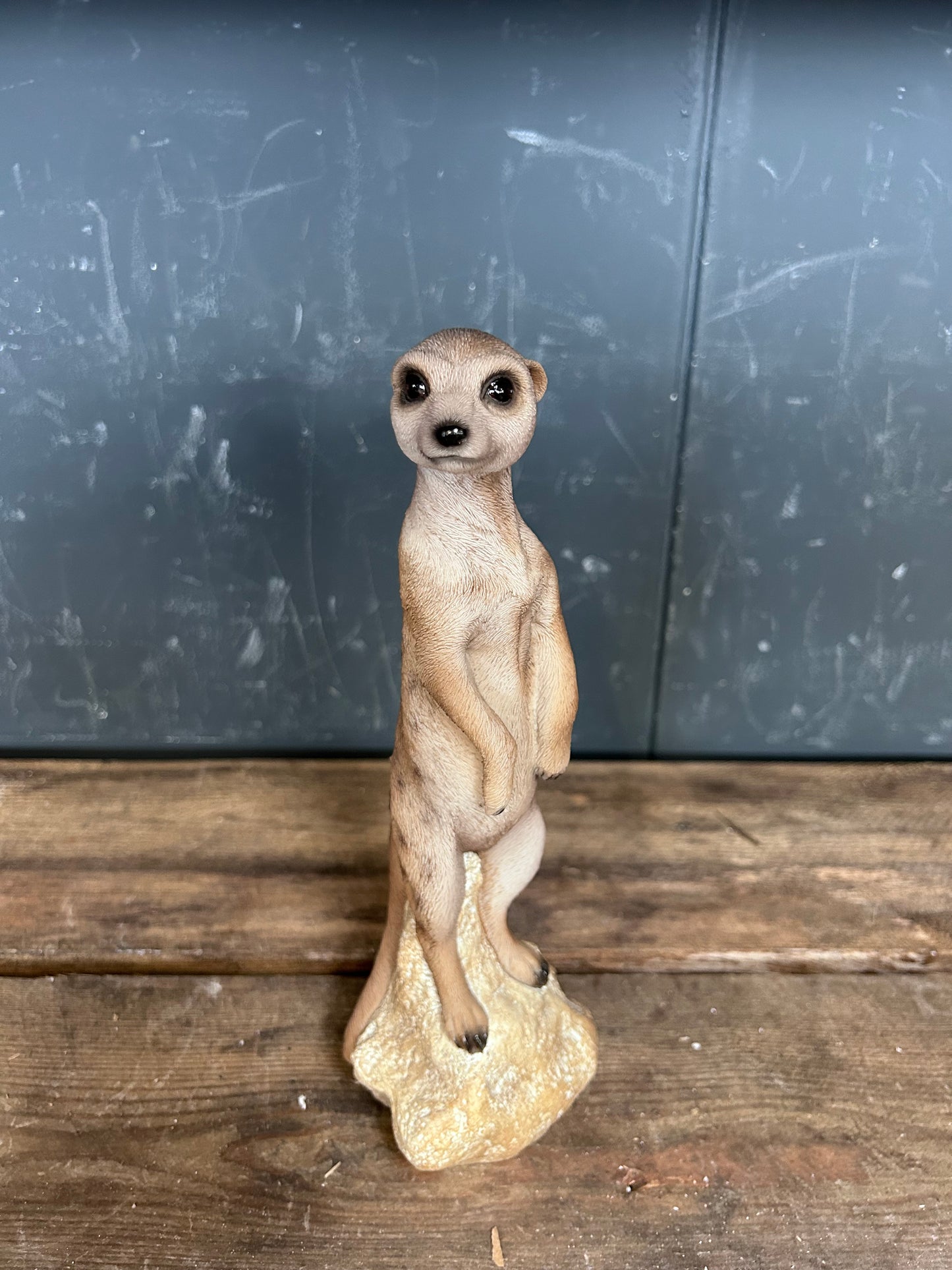 Stokstaart Beeld – Uniek Dierenbeeld in Bruintinten | H&H Collections
