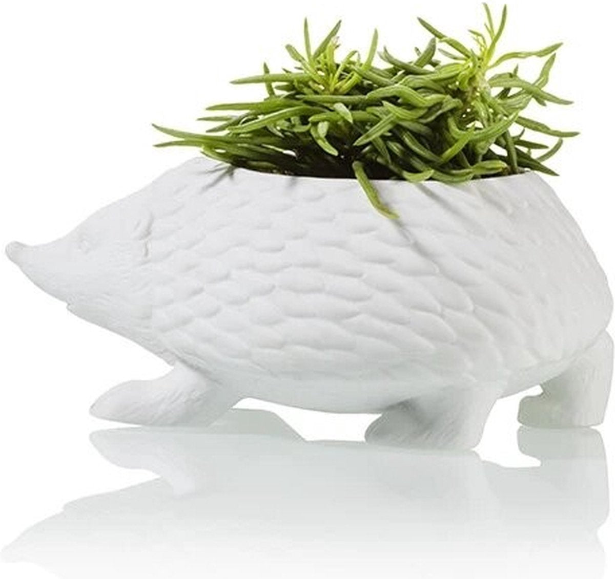 Bloempot Egel – Wit Porselein – 17 cm