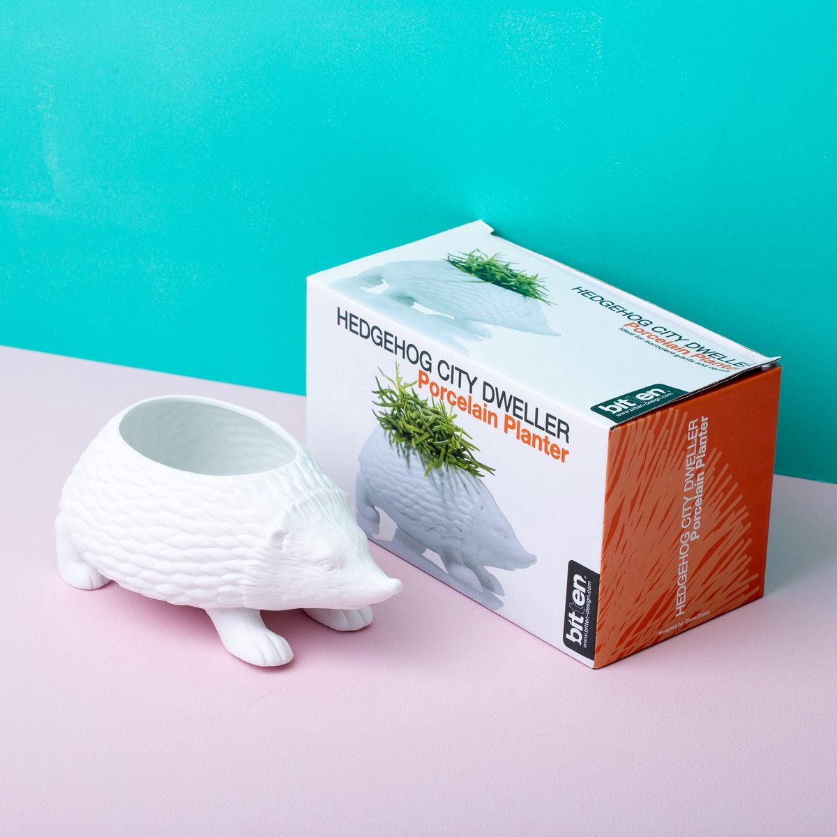 Bloempot Egel – Wit Porselein – 17 cm
