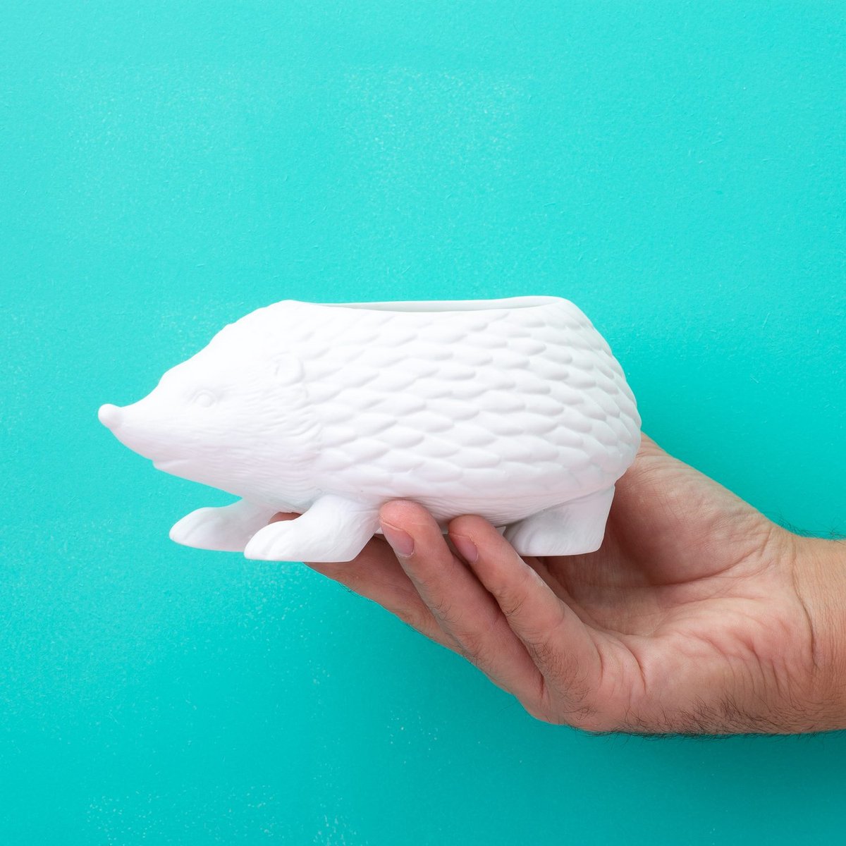 Bloempot Egel – Wit Porselein – 17 cm