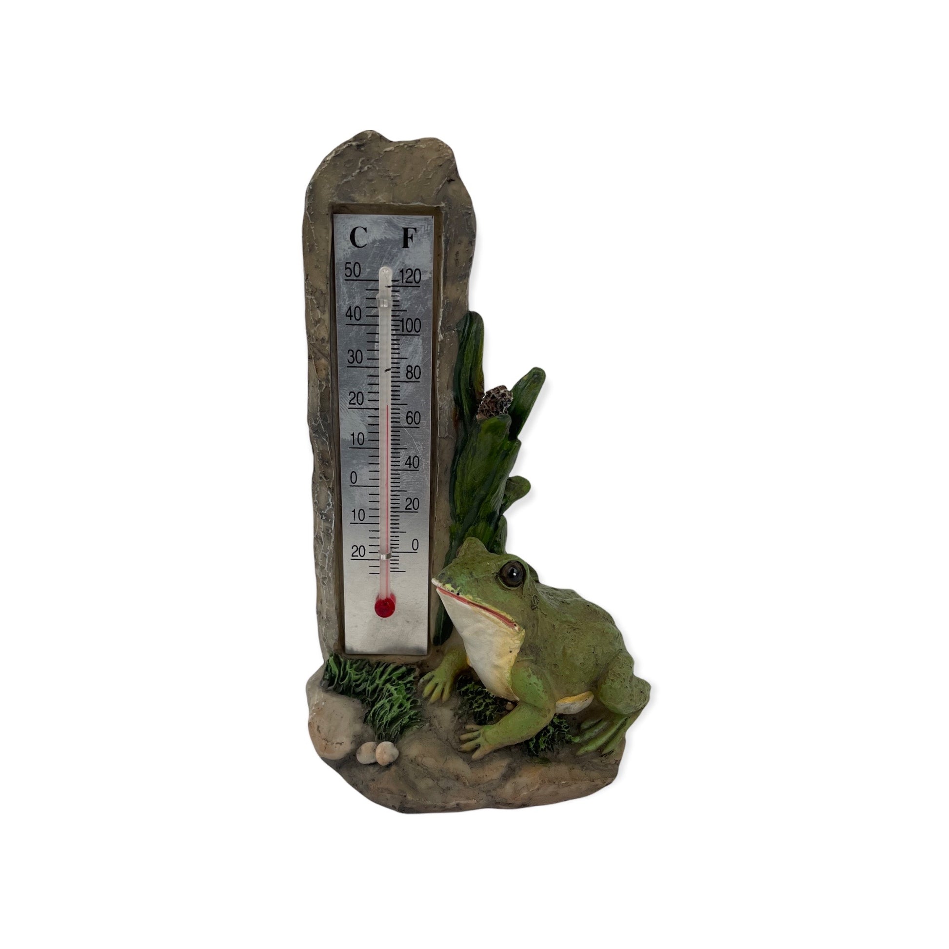 Kikker thermometer van polyresin met glasbuis – meet in °C en °F