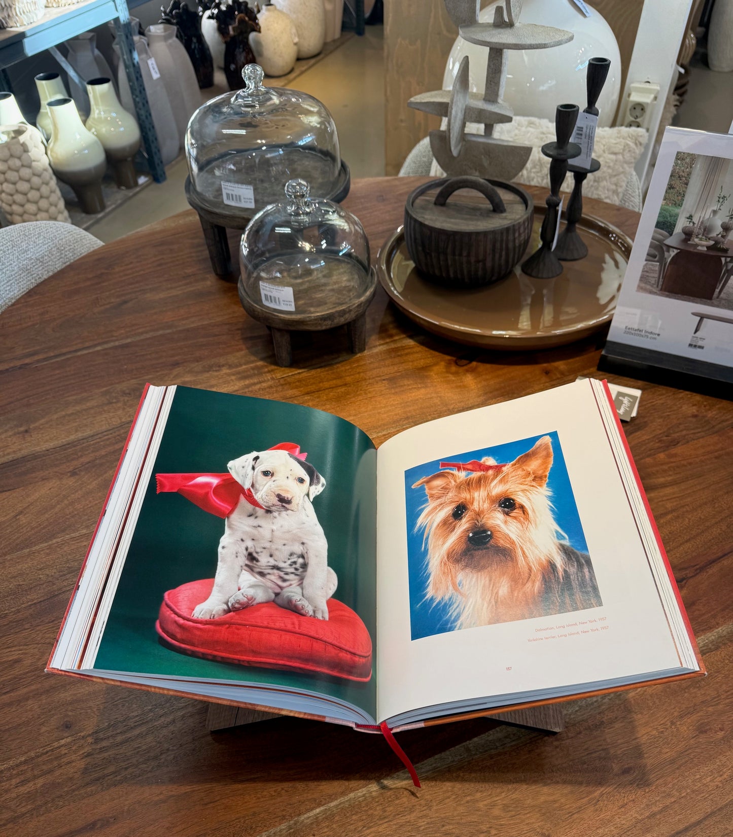 Dogs Photo Book - Luxury Dog Coffee Table Book (24x32 cm)