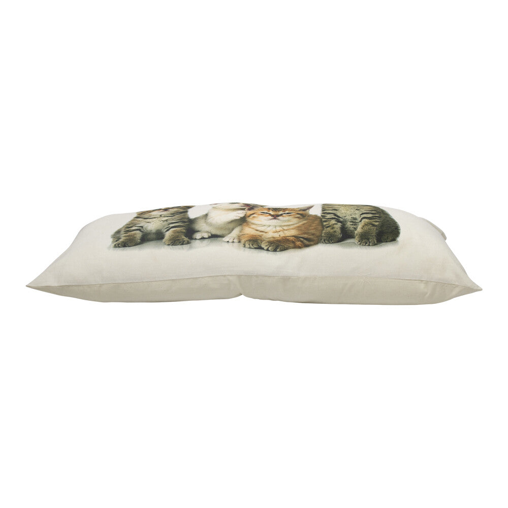 Langwerpig Sierkussen met Kittens – 90 cm