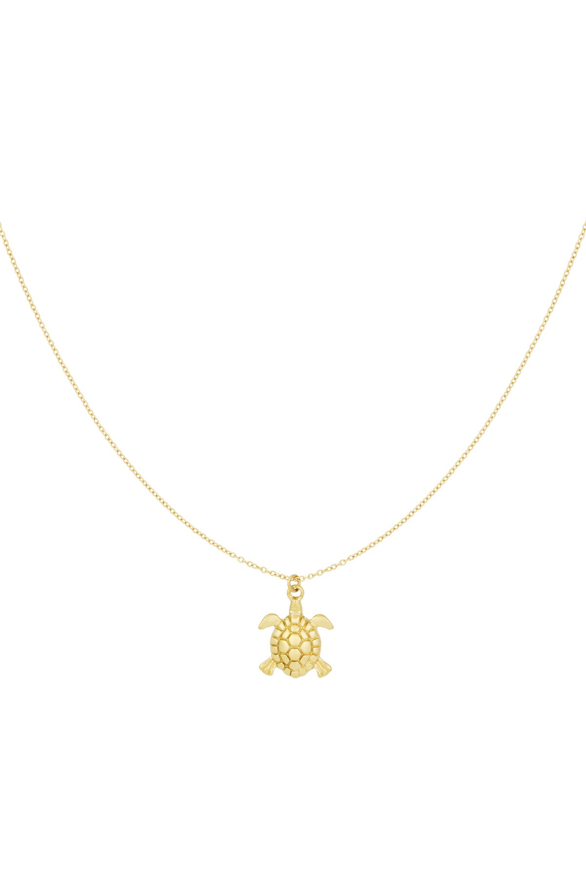 Goudkleurige ketting met schildpad hanger – Krokomingo sieraden