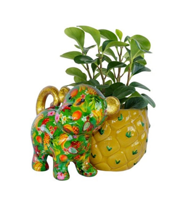 Bloempot Aap met Ananas – (4 varianten)