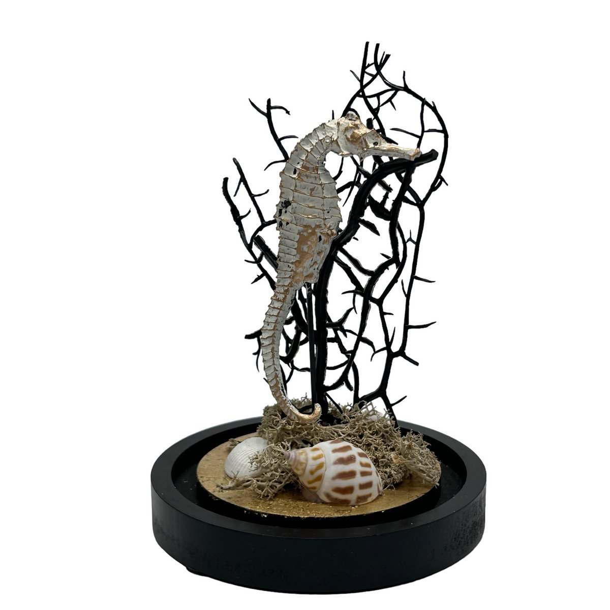 Decoratieve Stolp Zeepaard Glas & Hout – Maritiem