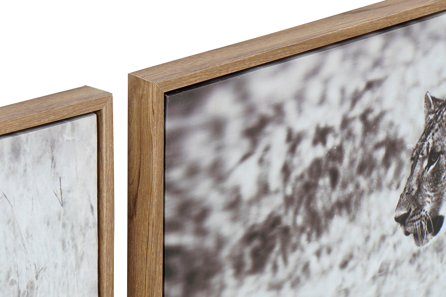 Set Ingelijste Canvas Safari Dieren – Zwart-Wit – 92,5 x 32 cm – Leeuw, Luipaard & Jachtluipaard in Stijl