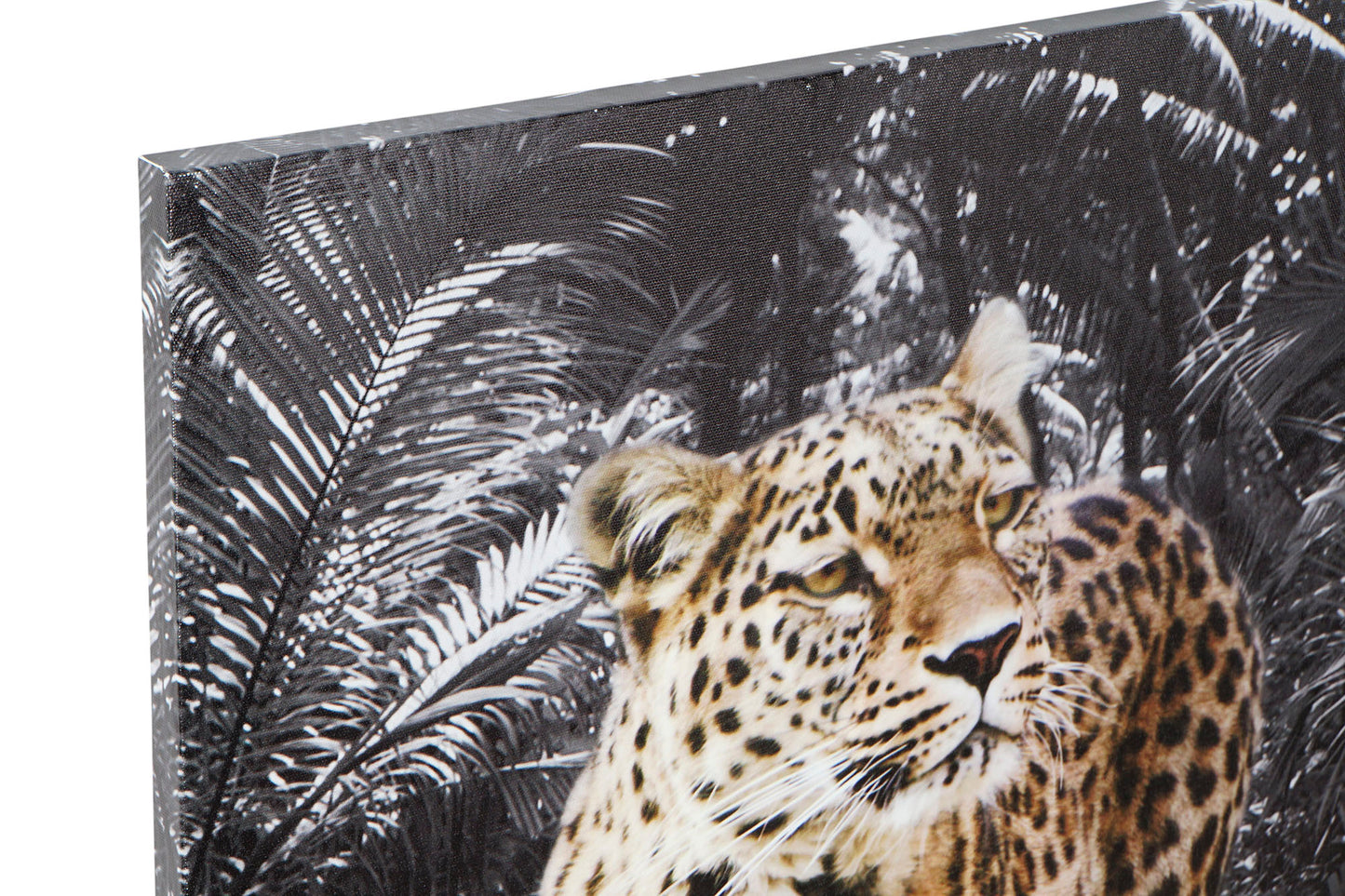 Canvas Wall Decoration Leopard – Set of 4 – 70 cm High – Jungle Chic