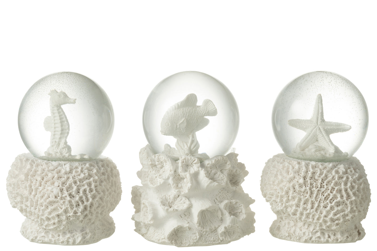 Witte Waterbal Zee – Sneeuwbol Zeepaard, Vis of Zeester