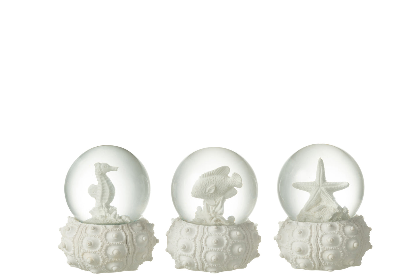 Witte Waterbal Zee – Sneeuwbol Zeepaard, Vis of Zeester