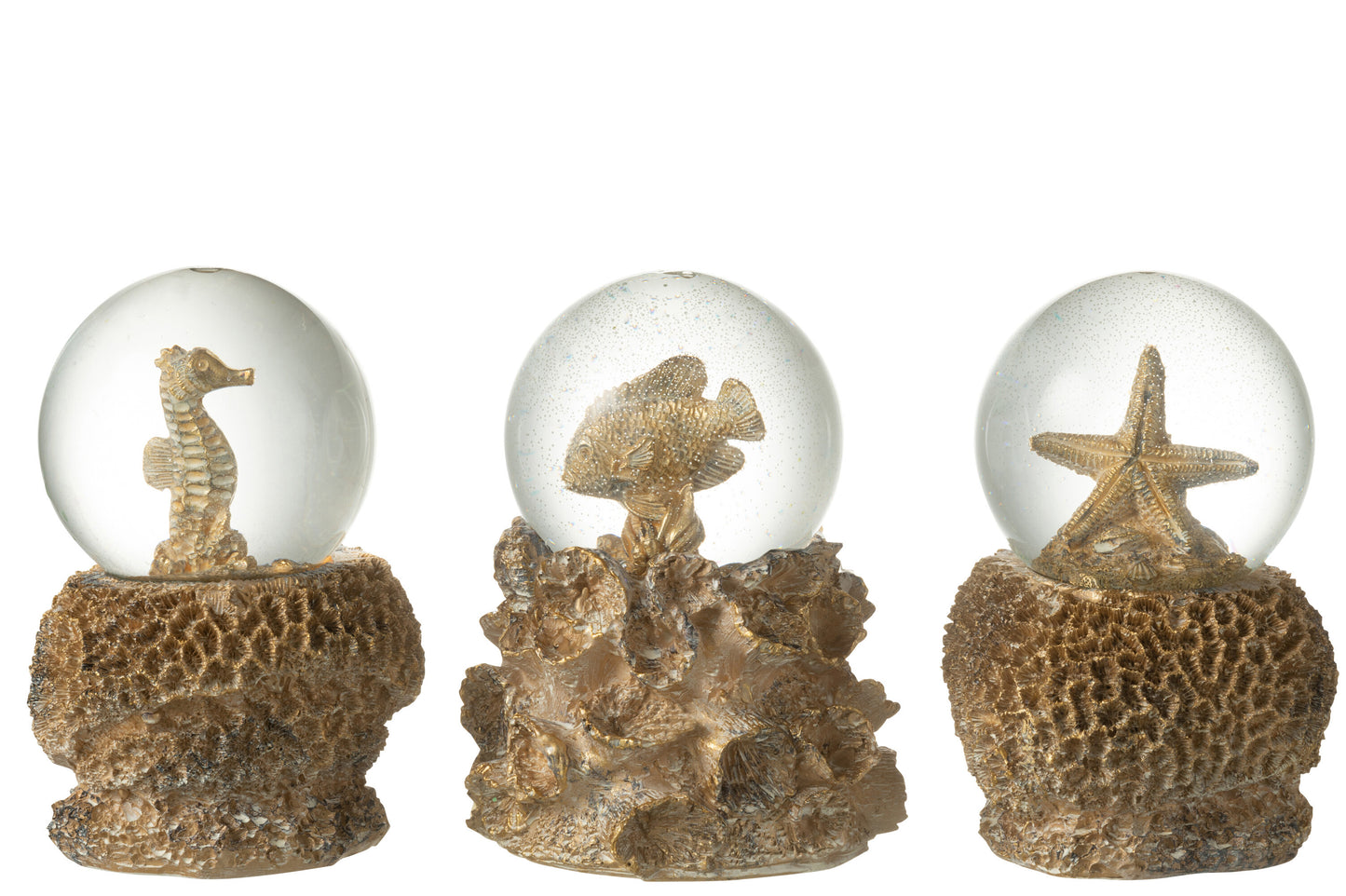 Waterbal Zee – Sneeuwbol Zeepaard, Vis of Zeester