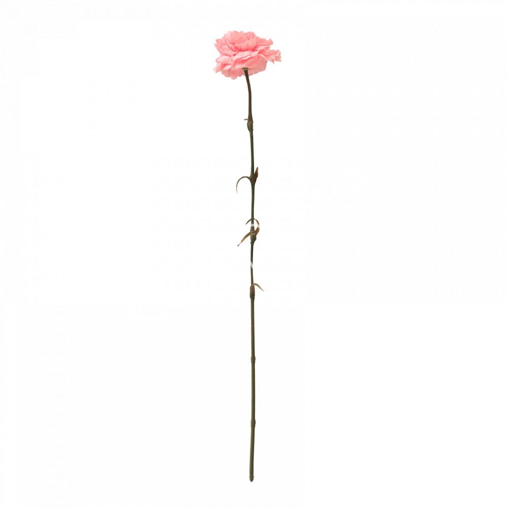Seidenblume Rosa Nelke - Kunstblume 60 cm