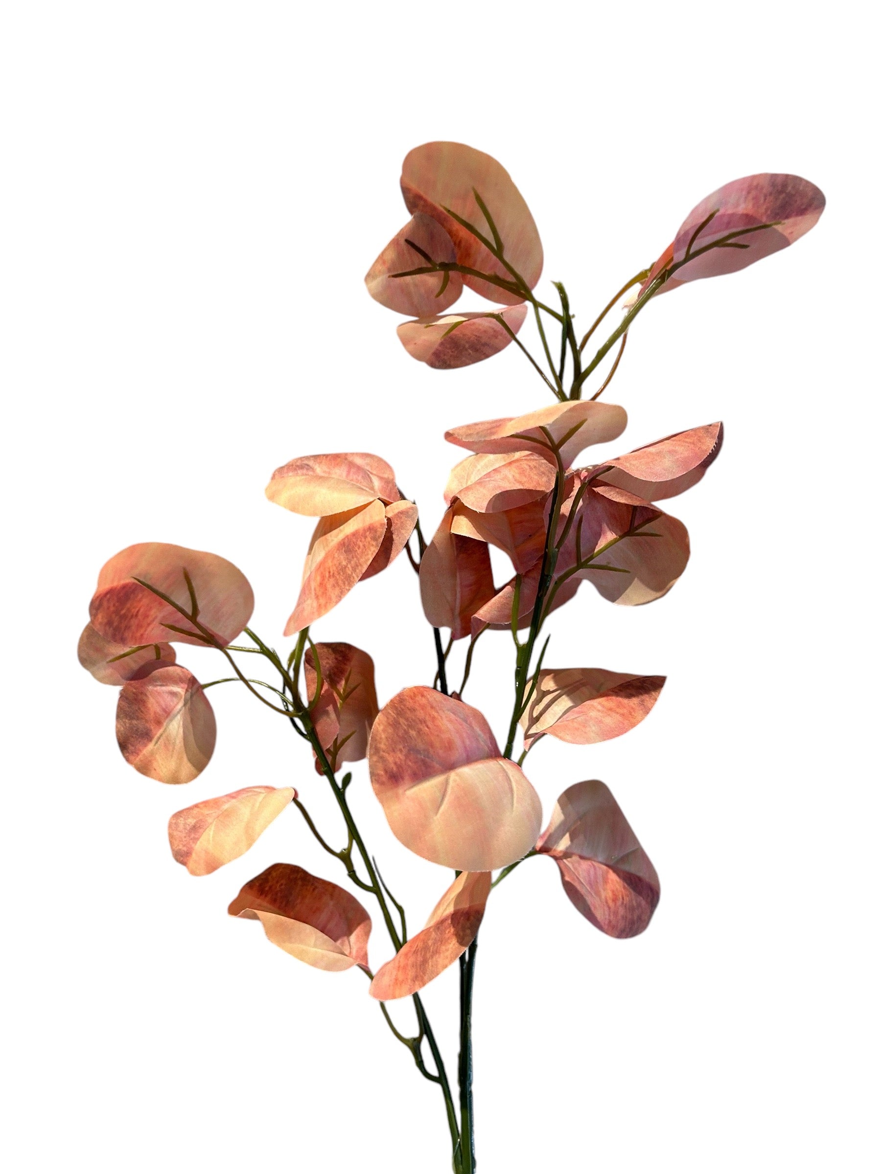 Künstliche Eukalyptusblüte Lachs – Weich & Elegant – Krokomingo
