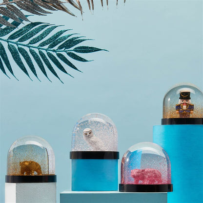 Snow Globes Claim €10,-