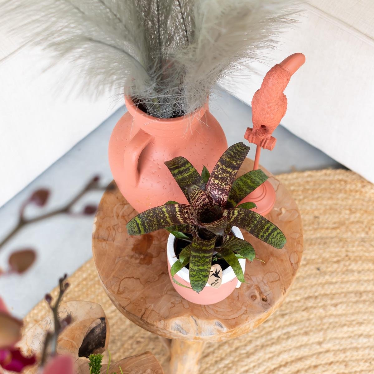 Tukan-Statue auf Fuß – Terrakotta – 30 cm