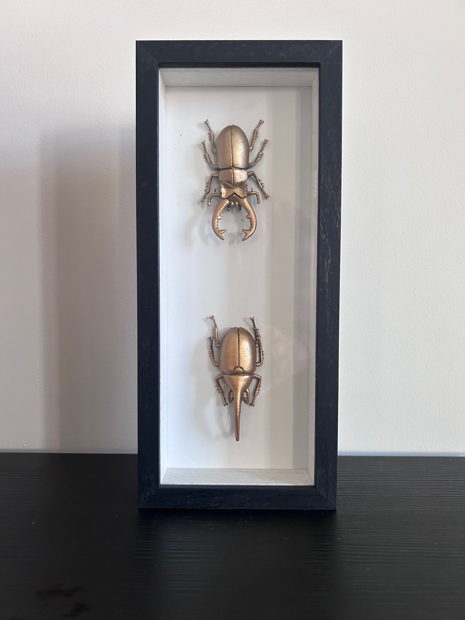 mooie rechthoekige zwarte lijst met 2 gouden insecten