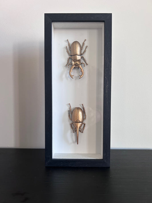 mooie rechthoekige zwarte lijst met 2 gouden insecten