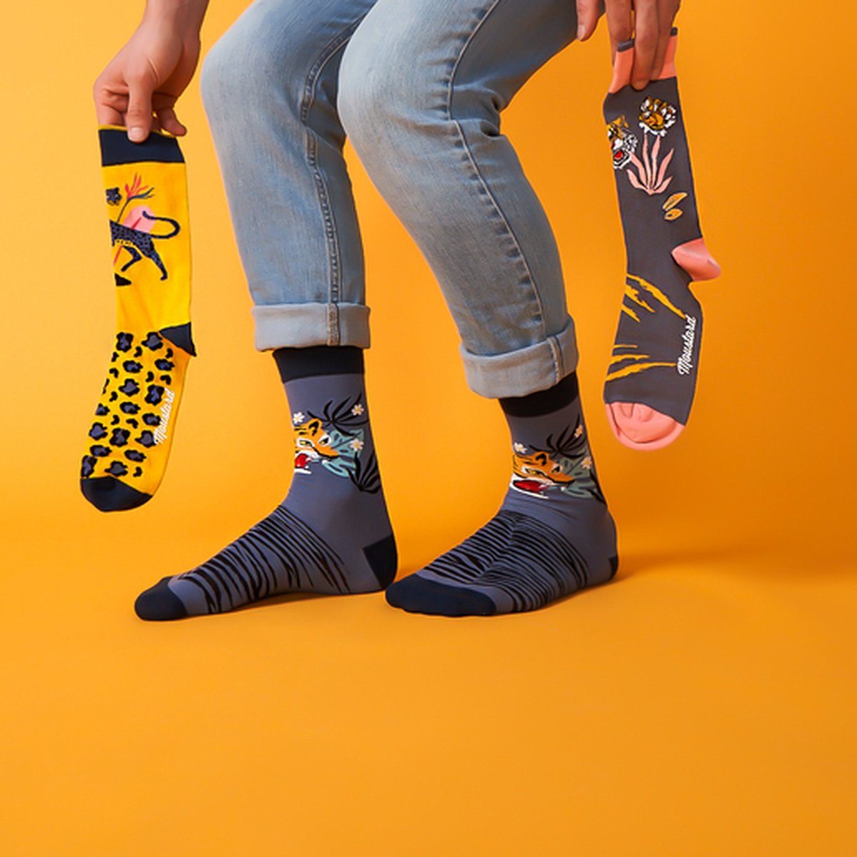 World of Cats Socken – 4 Paar in Geschenkbox