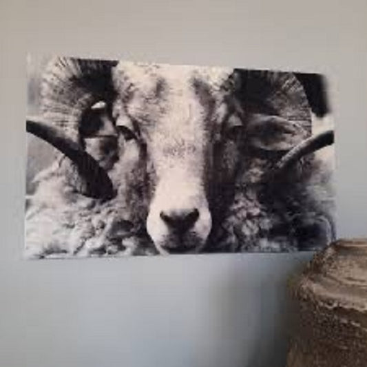 zwart-witte rechthoekige wanddecoratie van een steenbok
