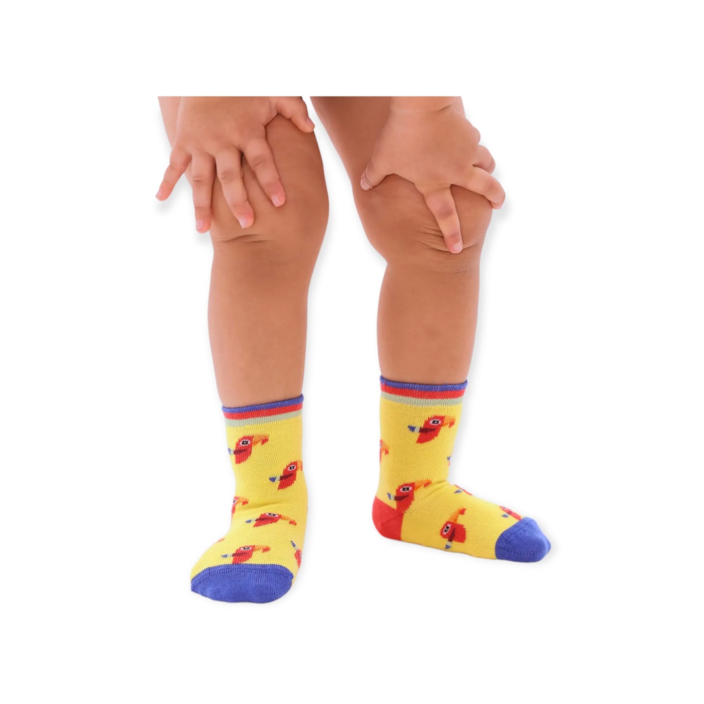 Zoo Box Babysocken – 4 Paar in einer luxuriösen Geschenkbox (0–12 Monate)