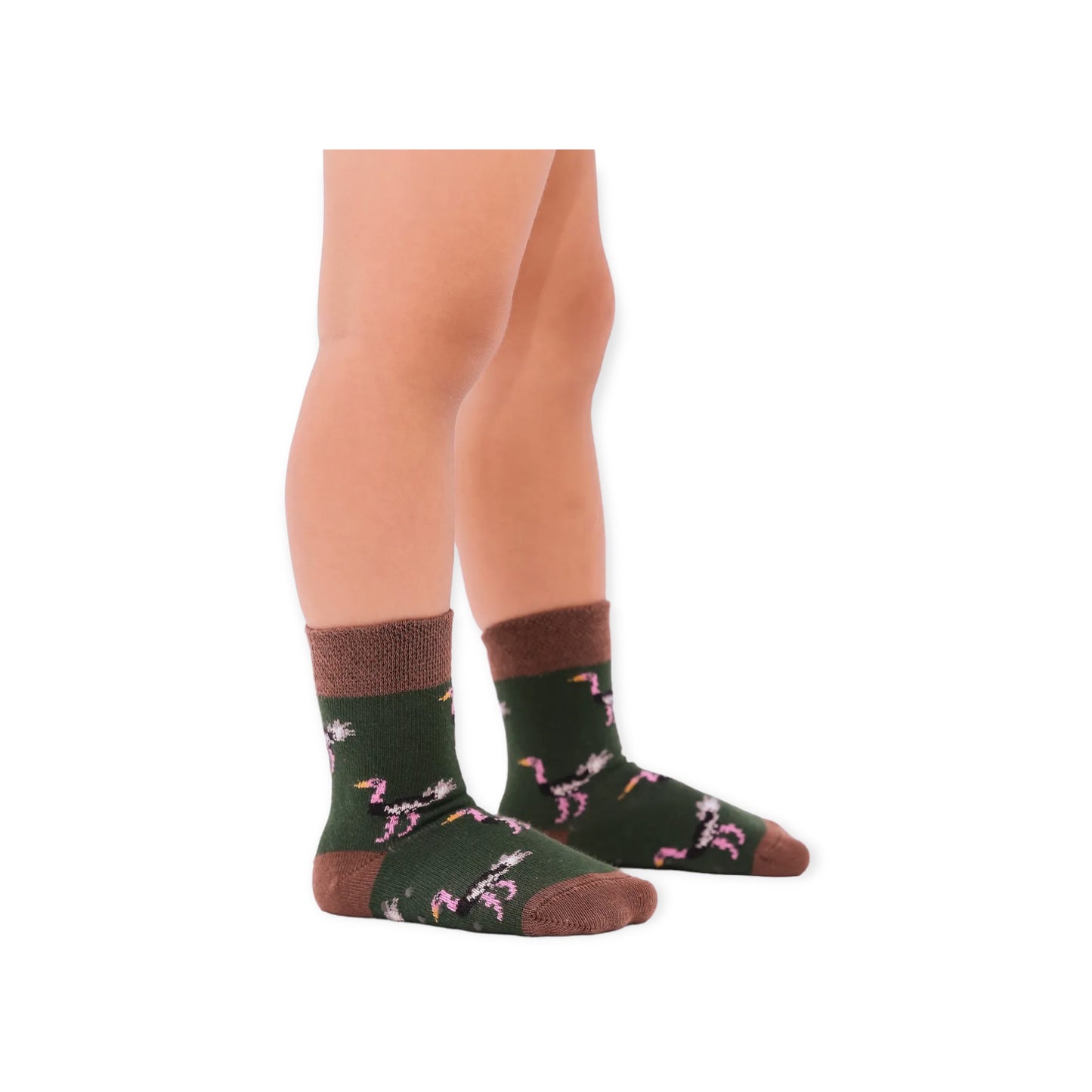 Zoo Box Babysocken – 4 Paar in einer luxuriösen Geschenkbox (0–12 Monate)