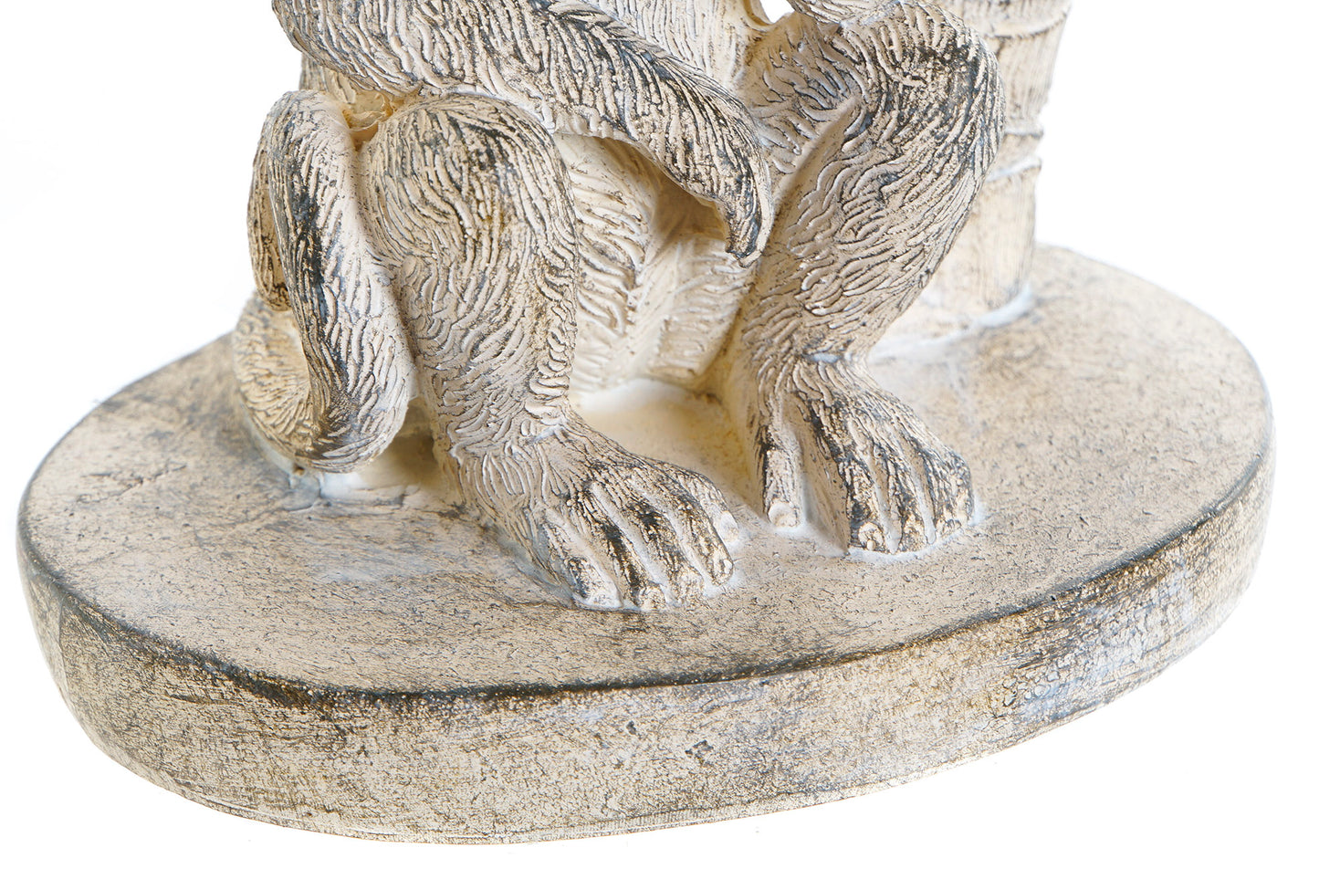 Whitewash Monkey unter Palme – Tropisches Bild