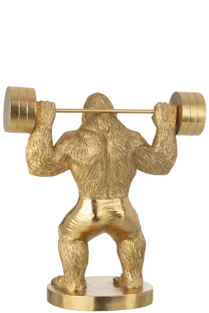 Gouden Gorilla Bodybuilder Beeld met Halter – XL Statement Beeld