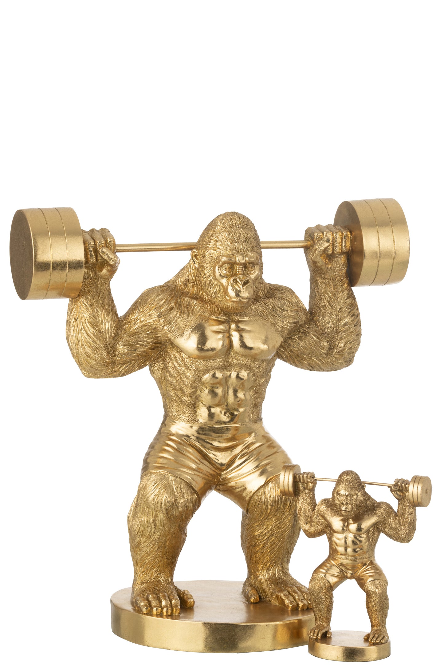 Gouden Gorilla Bodybuilder Beeld met Halter – XL Statement Beeld