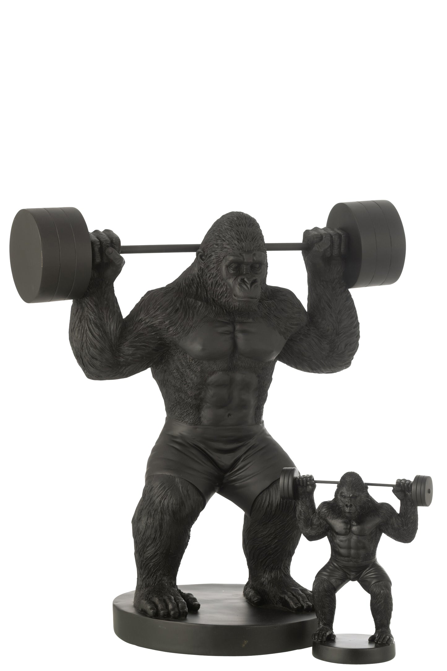 Zwarte Gorilla Bodybuilder Beeld met Halter – XL Statement Beeld