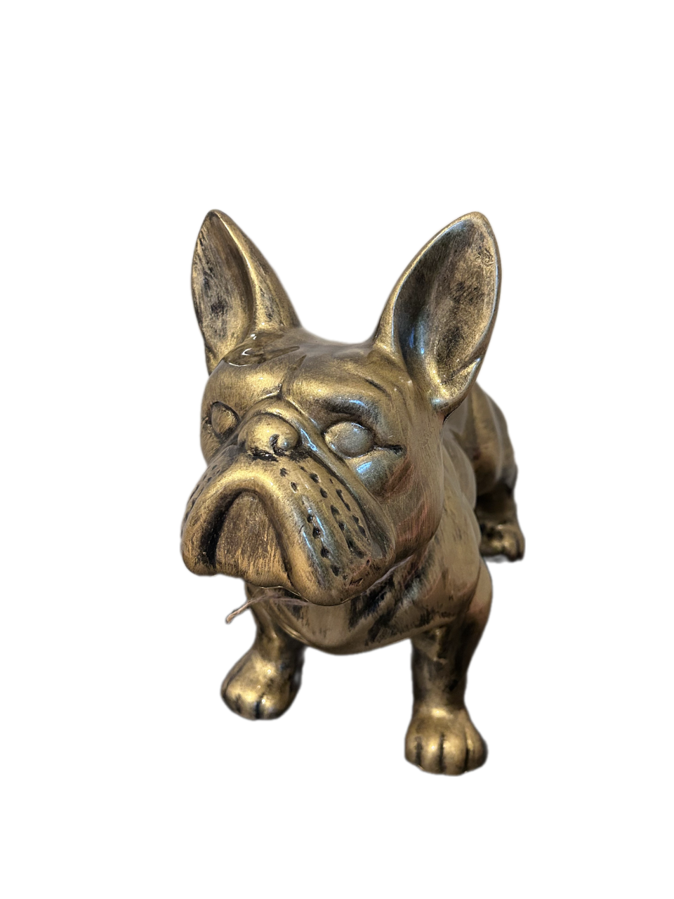 Beeindruckende Bulldoggenstatue XL – Gold &amp; Bronze