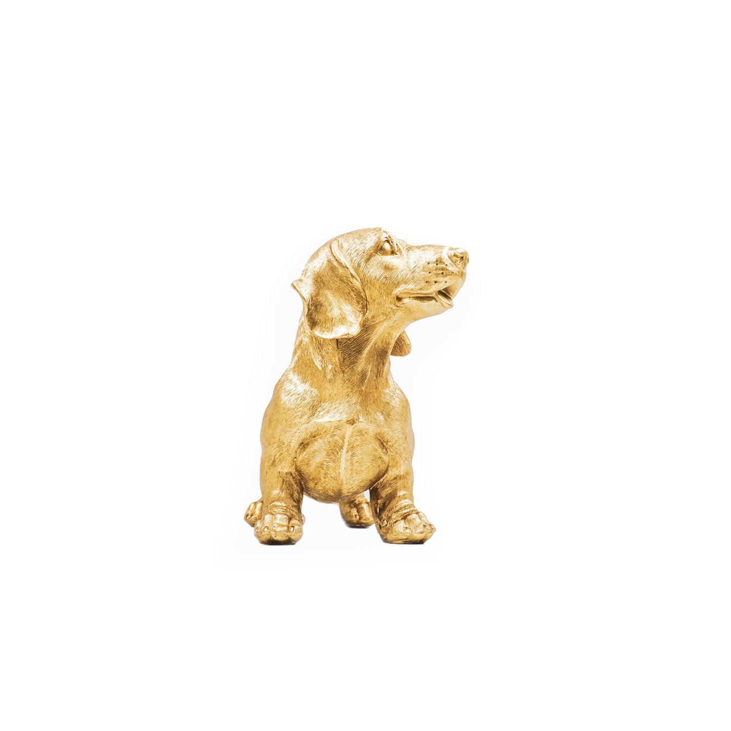 Goldene Dackelstatue – 31 × 14 × 23 cm – Verspielt &amp; Luxuriös