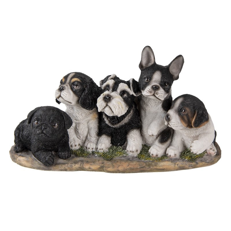 Beeld van 5 schattige puppy’s – Clayre & Eef honden decoratie van polyresin