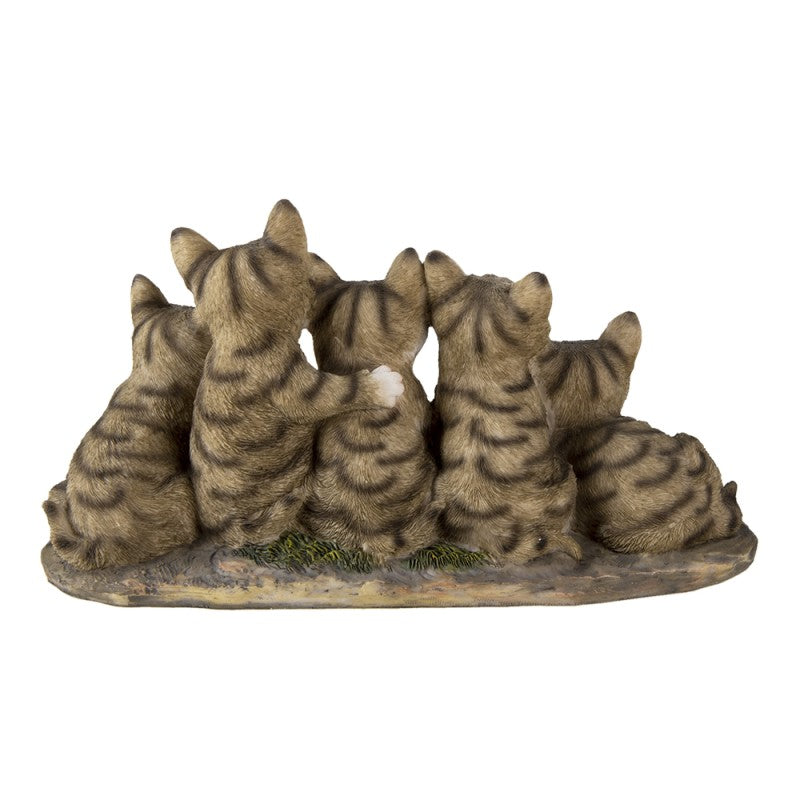 🐱 Kattenbeeld – 5 Kittens – 32x13x16 cm