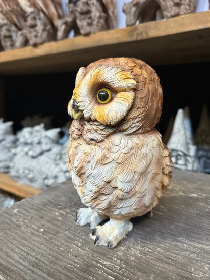 Uil Beeld – Realistisch Polyresin Dierenbeeld – 17,5 cm Hoog