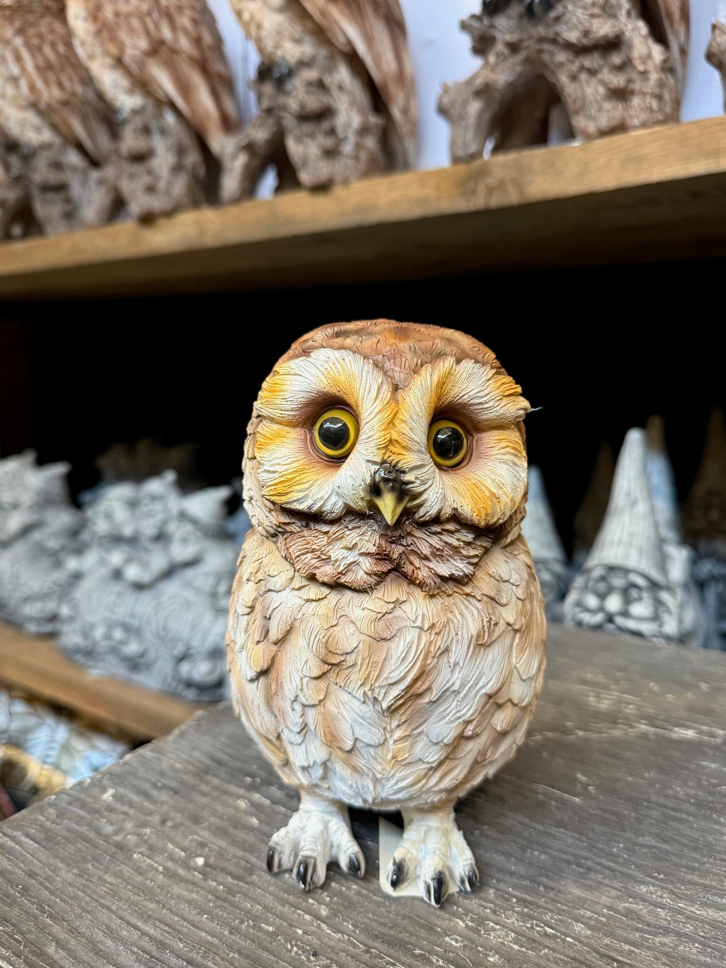 Uil Beeld – Realistisch Polyresin Dierenbeeld – 17,5 cm Hoog