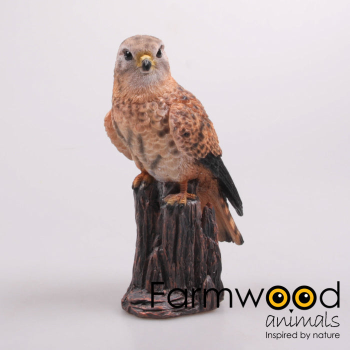 beeld-vogel-valk-polyresin-10x8x22cm-Krokomingo