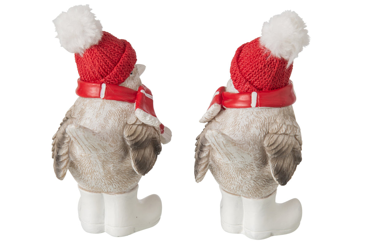 Wintervogel met Muts & Sjaal J-Line – 2 maten