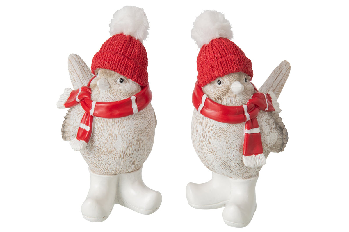 Wintervogel met Muts & Sjaal J-Line – 2 maten