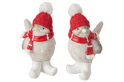 Wintervogel met Muts & Sjaal J-Line – 2 maten