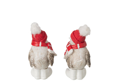 Wintervogel met Muts & Sjaal J-Line – 2 maten